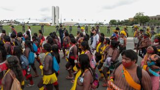 Indígenas marcham em Brasília contra marco temporal