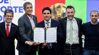 Governo anuncia novas regras para transporte aéreo de pets