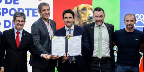 Imagem referente a Governo anuncia novas regras para transporte aéreo de pets