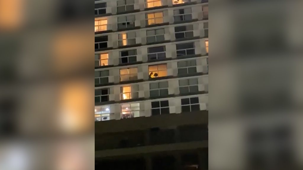 População se reúne para assistir casal ‘coisando’ e comemora aos gritos; veja vídeo