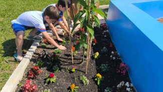 Educação ambiental: escola de União da Vitória recebe Jardim de Água e Mel da Sanepar