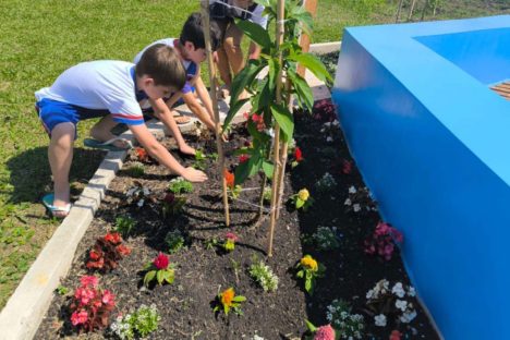 Imagem referente a Educação ambiental: escola de União da Vitória recebe Jardim de Água e Mel da Sanepar