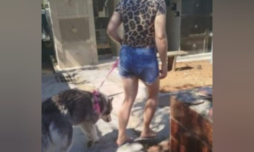 Cachorra foge de casa e é encontrada ao lado de túmulo de pai de tutora que faleceu em 2023