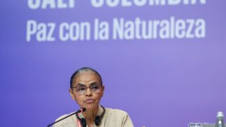 Marina Silva defende indígena brasileira presa na COP16