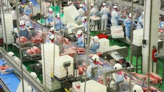 18 mil toneladas: Paraná bateu recorde em exportação de carne suína em setembro