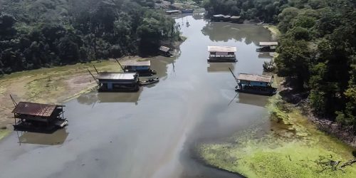 Imagem referente a Rios na Amazônia tem risco muito alto de contaminação por mercúrio