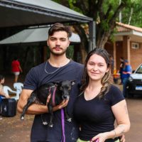 Imagem referente a Com 196 castrações de cães e gatos, Guaíra abre nova temporada do CastraPet