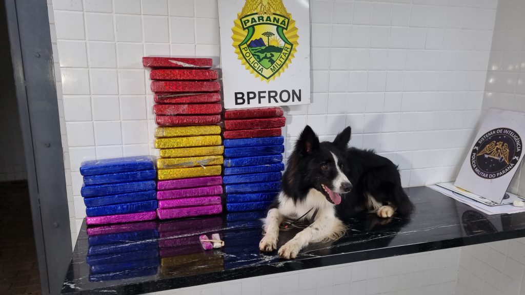 BPFron apreende adolescente com vários tabletes de maconha na rodoviária de Cascavel