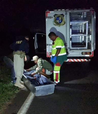 Imagem referente a Homem morre após ser atropelado na rodovia BR-277, em Cascavel