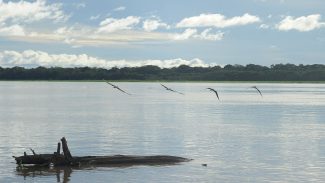 Seca: governo paga auxílio para pescadores da Região Norte