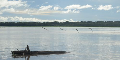 Imagem referente a Seca: governo paga auxílio para pescadores da Região Norte