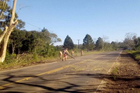 Imagem referente a Paraná vai usar modelo inovador para contratação de conservação de faixa de domínio