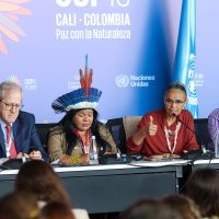 Imagem referente a COP16 cria órgão para atender povos indígenas e quilombolas