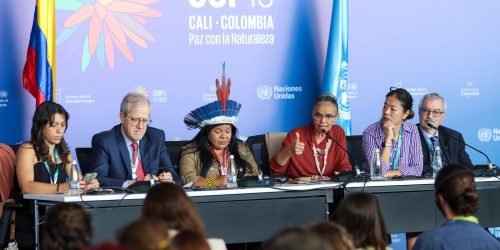 Imagem referente a COP16 cria órgão para atender povos indígenas e quilombolas