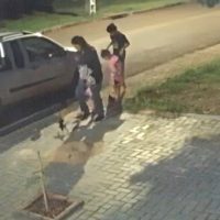 Imagem referente a Acompanhada de três crianças, mulher chuta filhote de gato em Cascavel