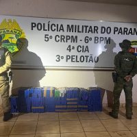 Imagem referente a PR-180: Homem é preso com 237 quilos de maconha em Boa Vista da Aparecida