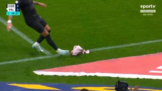 Torcida do Corinthians arremessa cabeça de porco no gramado