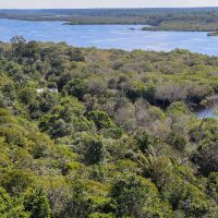 Imagem referente a G9: indígenas defendem demarcação para reduzir danos climáticos