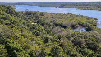 G9: indígenas defendem demarcação para reduzir danos climáticos