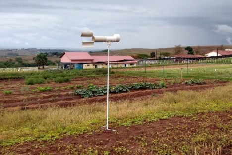 Imagem referente a Pesquisadores do Paraná usam Inteligência Artificial para combate da ferrugem da soja