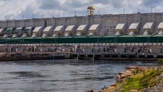 Brasil ampliará produção de pescados em reservatório de hidrelétricas