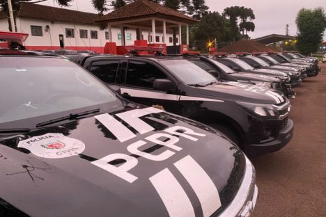 Imagem referente a Operação integrada mira grupo envolvido com o tráfico nos Campos Gerais e região Norte