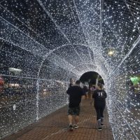 Imagem referente a Cascavel ganha túnel de luz e Mostra Cultural em celebração aos 73 anos