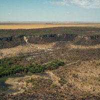 Imagem referente a Após cinco anos de aumento, desmatamento no Cerrado tem queda