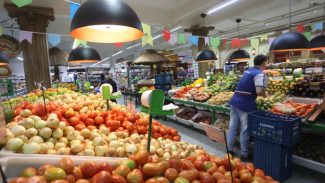 Cebola em queda e laranja em alta: Ipardes divulga Índice de Preços de Alimentos de outubro