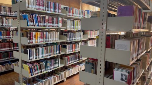 Imagem referente a Biblioteca Pública celebra 60 anos com literatura e memória em Cascavel