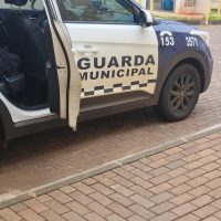 Imagem referente a Guarda Municipal cumpre mandado e detém homem por violência doméstica