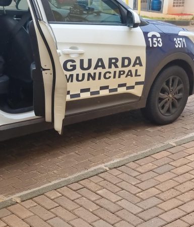 Imagem referente a Guarda Municipal cumpre mandado e detém homem por violência doméstica