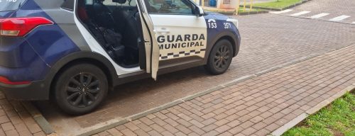 Imagem referente a Guarda Municipal cumpre mandado e detém homem por violência doméstica