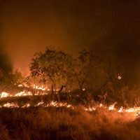 Imagem referente a Brasil reduz em 12% emissões de gases do efeito estufa em 2023