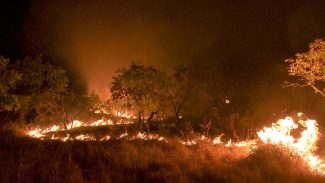 Brasil reduz em 12% emissões de gases do efeito estufa em 2023