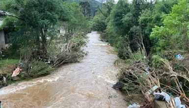 Imagem referente a Bombeiros intensificam buscas por criança de dois anos arrastada por enxurrada em General Carneiro