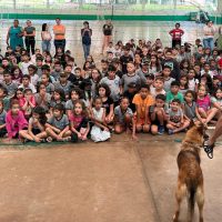 Imagem referente a Cães policiais encantam 400 crianças em escola de Foz do Iguaçu em ação de conscientização