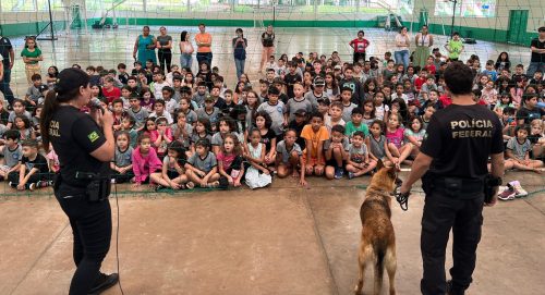 Imagem referente a Cães policiais encantam 400 crianças em escola de Foz do Iguaçu em ação de conscientização