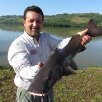 Imagem referente a Novo ciclo do Rio Vivo vai soltar 2,6 milhões de peixes nativos nas bacias do Paraná