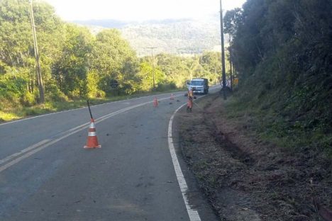 Imagem referente a DER/PR publica edital do novo programa de conservação de faixa de domínio de rodovias