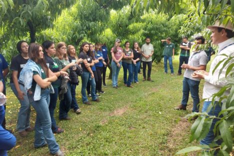 Imagem referente a Com participação de mais de 700 alunos, IDR-PR promove Semana Frutifica Paraná