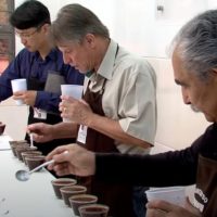 Imagem referente a Vencedores do concurso Café Qualidade Paraná serão anunciados em Curitiba na terça