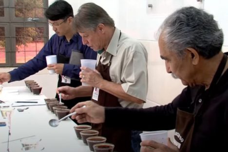 Imagem referente a Vencedores do concurso Café Qualidade Paraná serão anunciados em Curitiba na terça