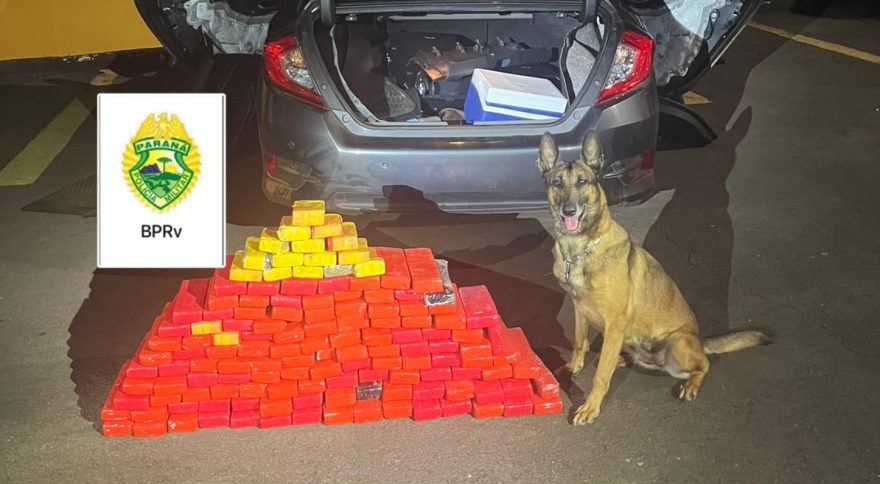 Dupla paraguaia é presa com veículo recheado de maconha em Santa Tereza do Oeste