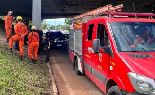 Imagem referente a Corpo com sinais de espancamento é encontrado embaixo de viaduto