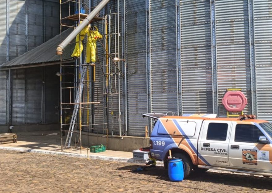 Defesa Civil de Cascavel retira enxame de abelhas de silo