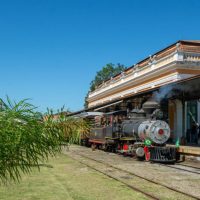 Imagem referente a Gastronomia típica, música e cultura: passeio de trem é opção turística do verão paranaense