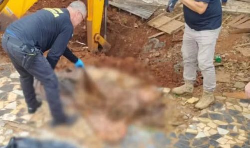 Imagem referente a Homem investigado por violência doméstica admite ter matado o pai há 37 anos no Paraná