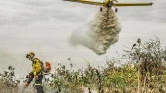 Pantanal: redução da área alagada tem favorecido aumento de incêndios