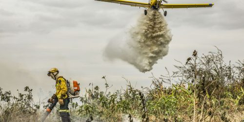 Pantanal: redução da área alagada tem favorecido aumento de incêndios Imagem referente a Pantanal: redução da área alagada tem favorecido aumento de incêndios